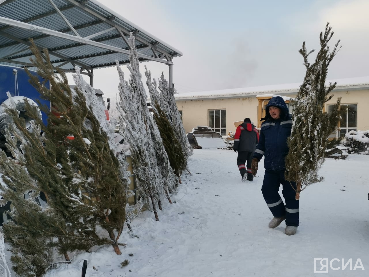 Фото: Нарыйа Пахомова/ЯСИА