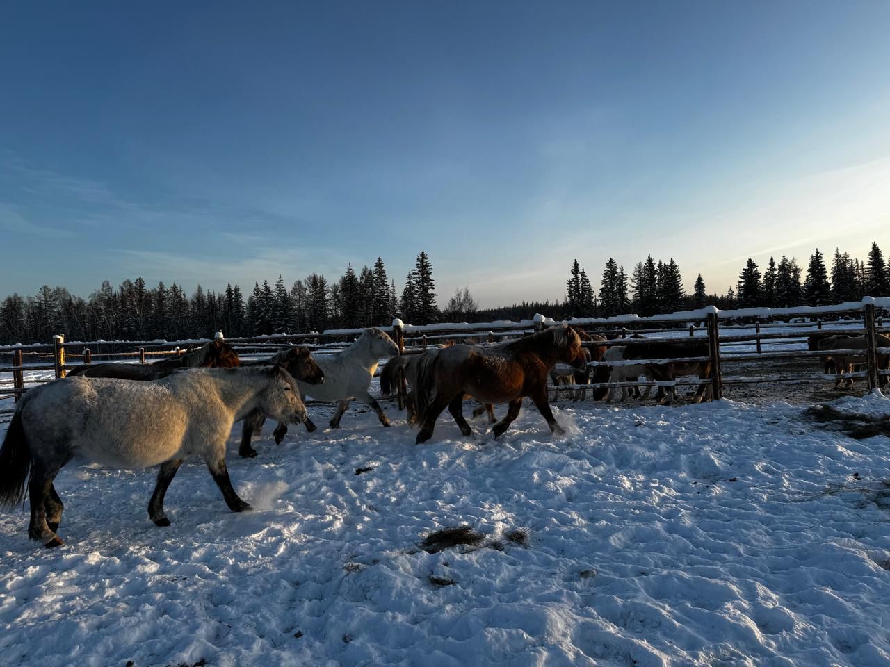 Фото: www.sakha.gov.ru