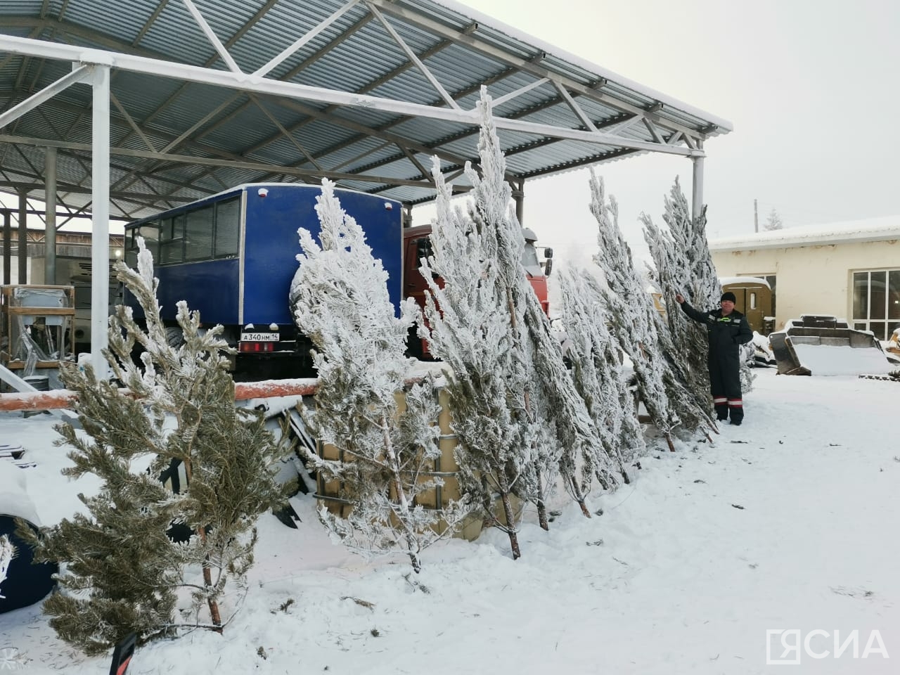 Фото: Нарыйа Пахомова/ЯСИА