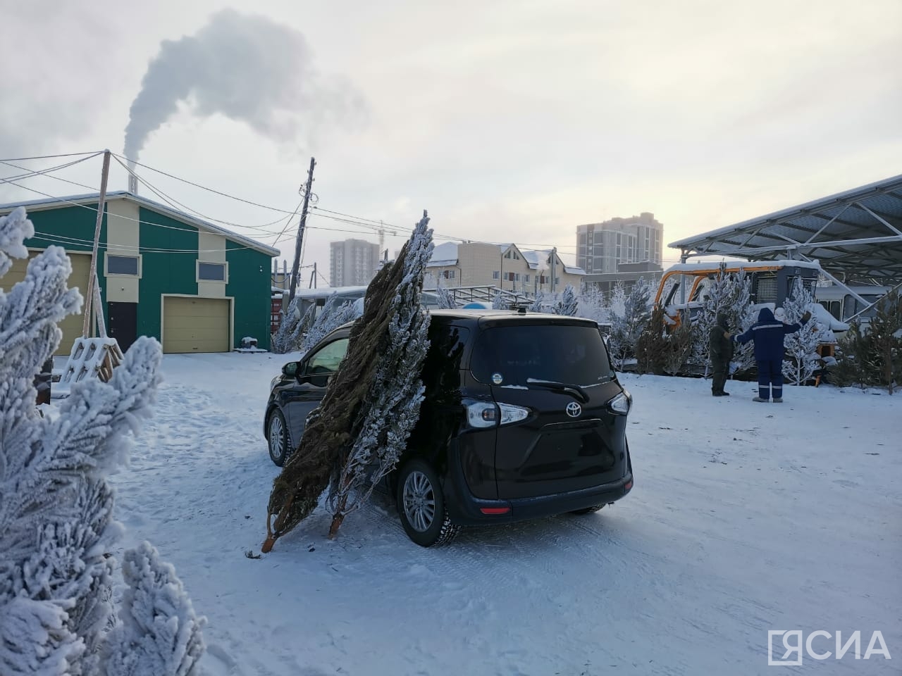 Фото: Нарыйа Пахомова/ЯСИА