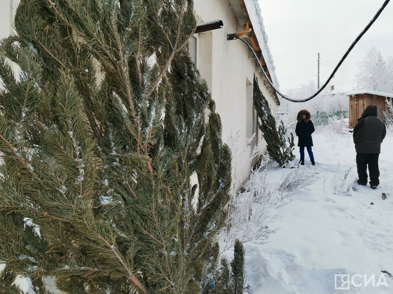 Фото: Нарыйа Пахомова/ЯСИА