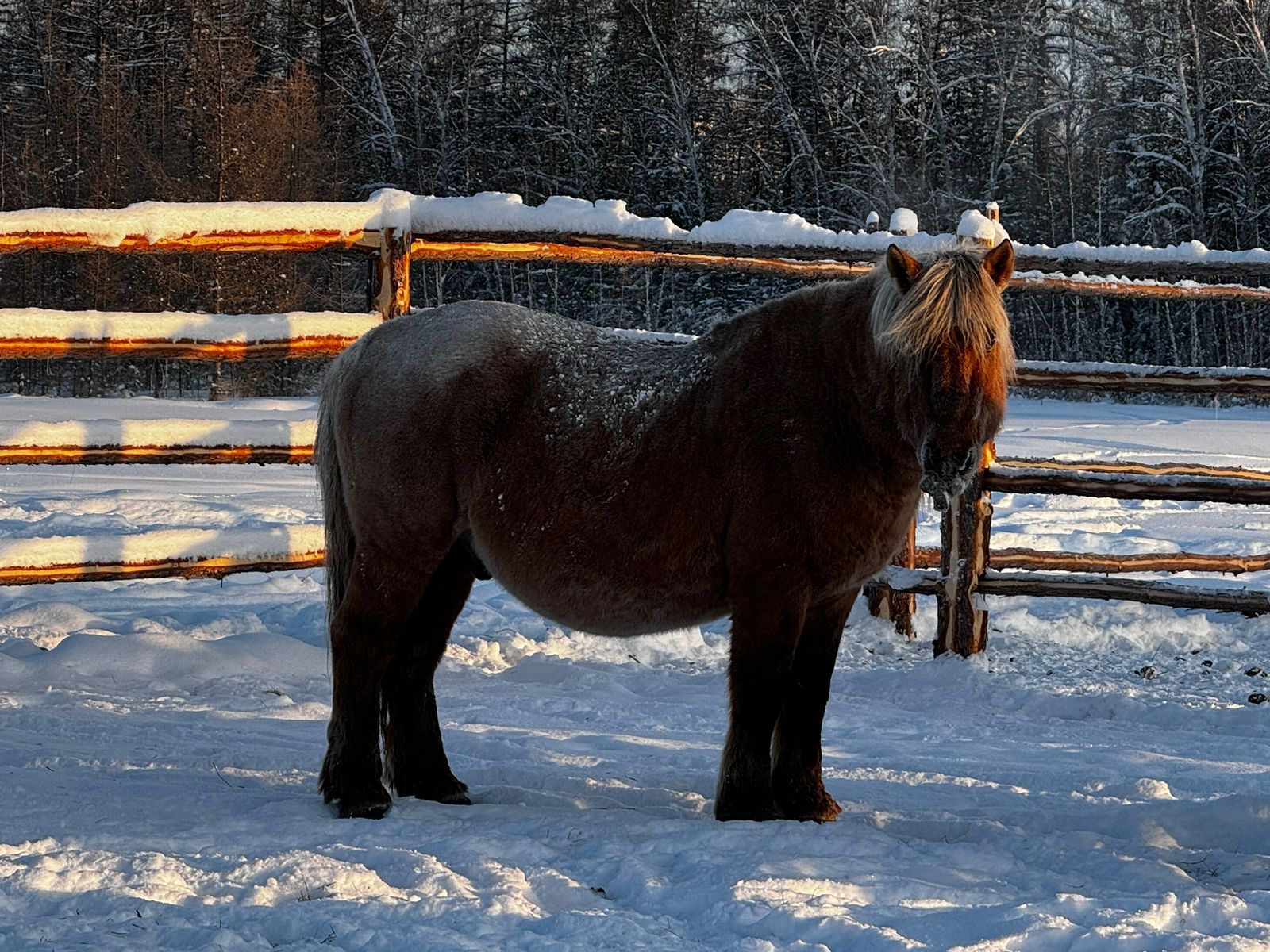 Фото: www.sakha.gov.ru