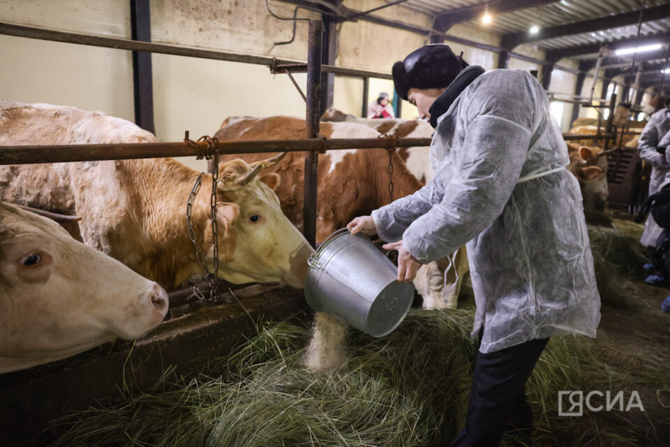 В Якутии численность занятых в сфере МСП планируется увеличить до 140 тысяч человек