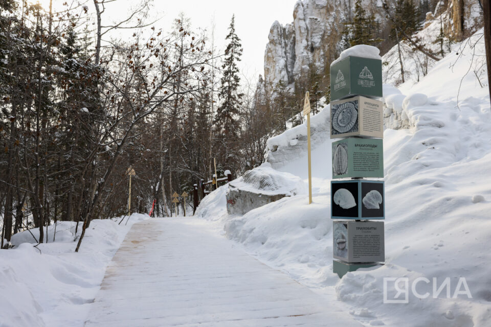 На «Ленских столбах» в Якутии стал доступен виртуальный тур