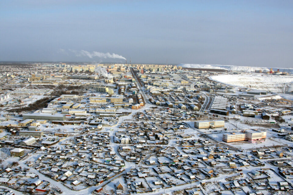 Жительница Мирного пожаловалась на бродячих собак главе Якутии