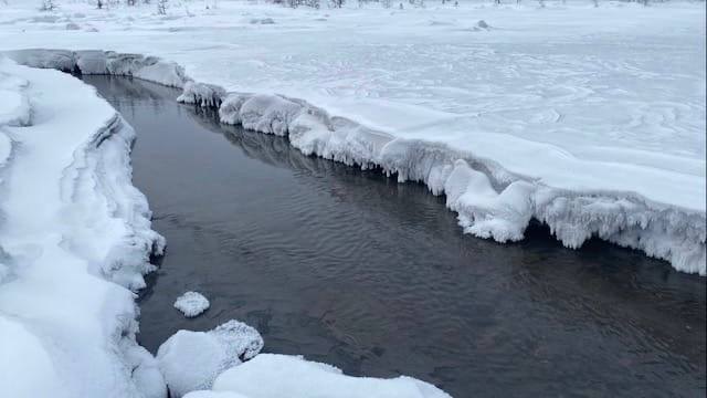 Экологи проверили загрязнение ручья в Нерюнгринском районе 