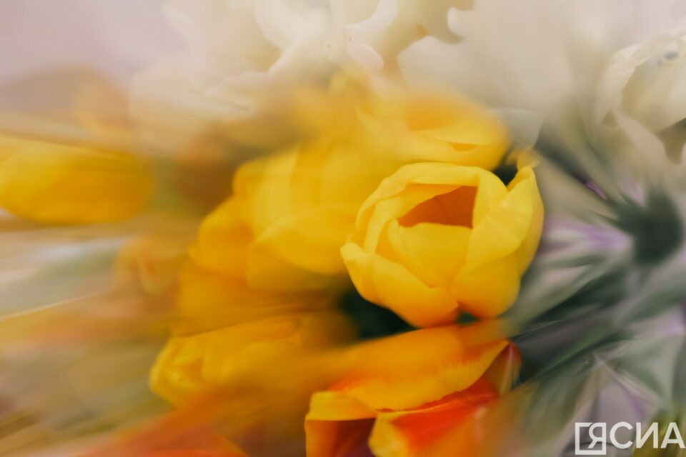 Бывшие, смартфоны и скупость: главные ошибки на первом свидании, по мнению россиян