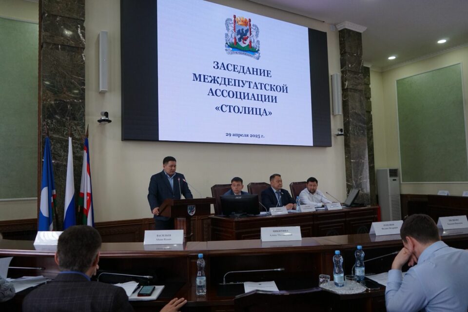 Междепутатская ассоциация «Столица»: развитие ТОС и благоустройство улично-дорожной сети