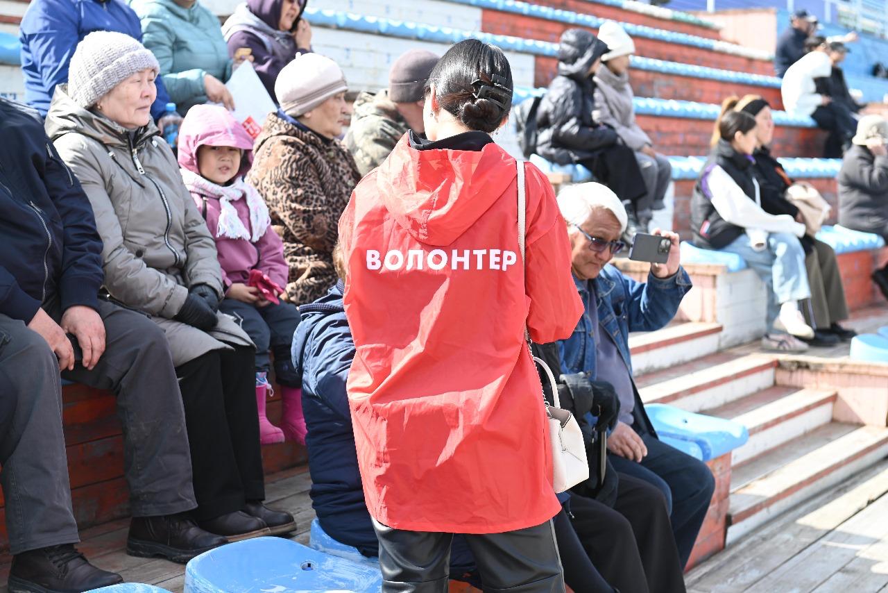 волонтеры голосования