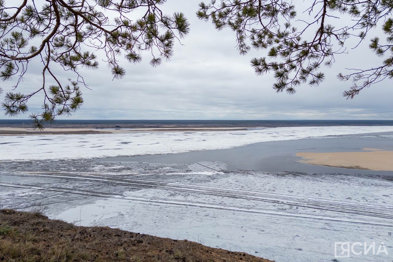 Фото: Майя Гоголева/ЯСИА
