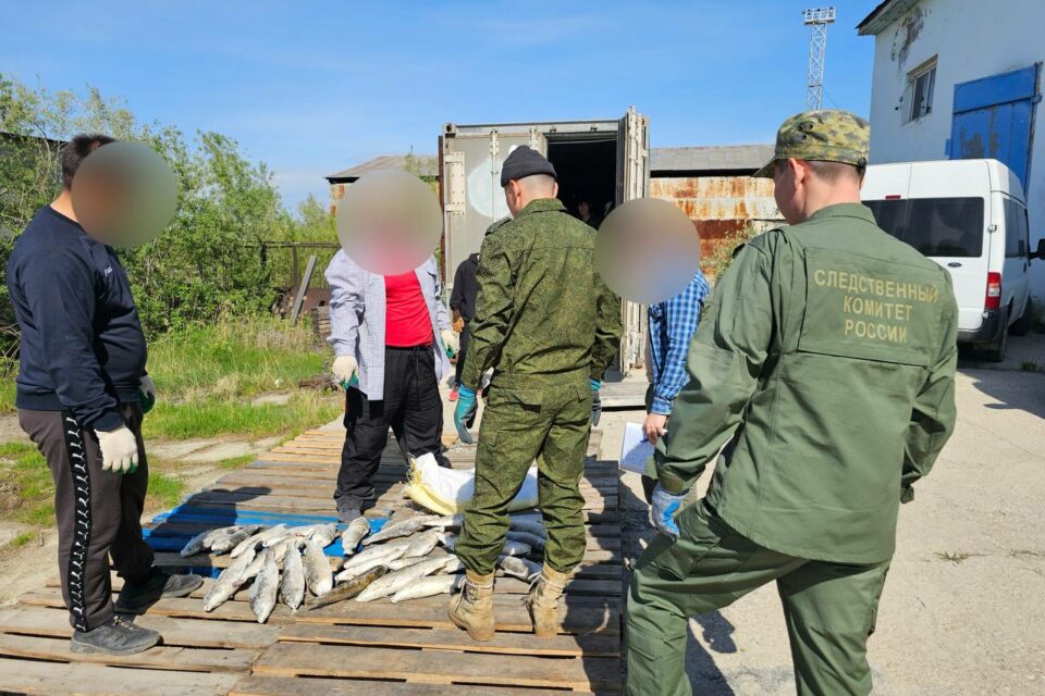 За незаконный оборот рыбы осудили депутата Булунского района