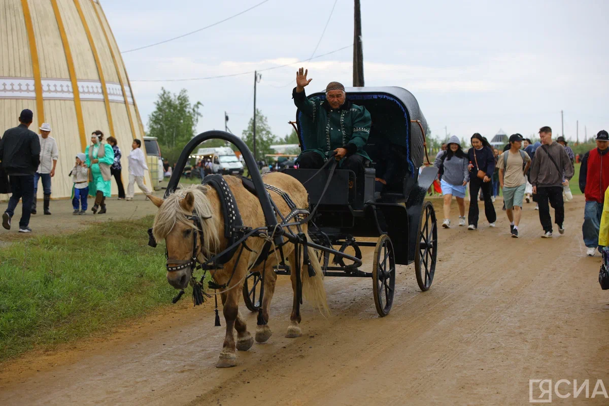 Фото: Саргын Скрябин/ЯСИА