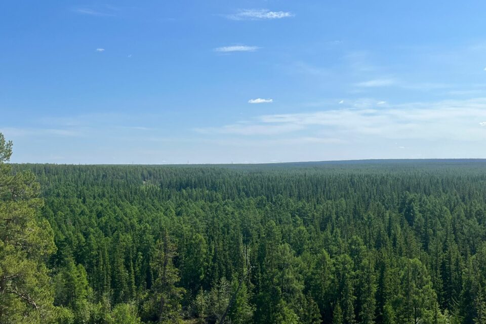 Один лесной пожар потушили в Усть-Майском районе Якутии