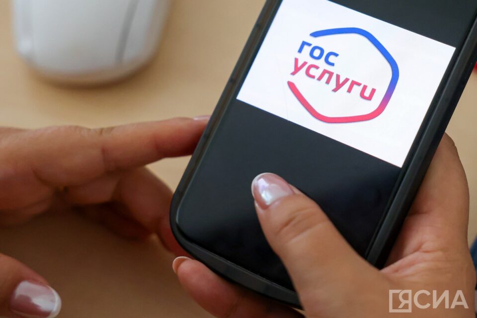 В приложении «Госуслуги Биометрия» появился ИИ-ассистент