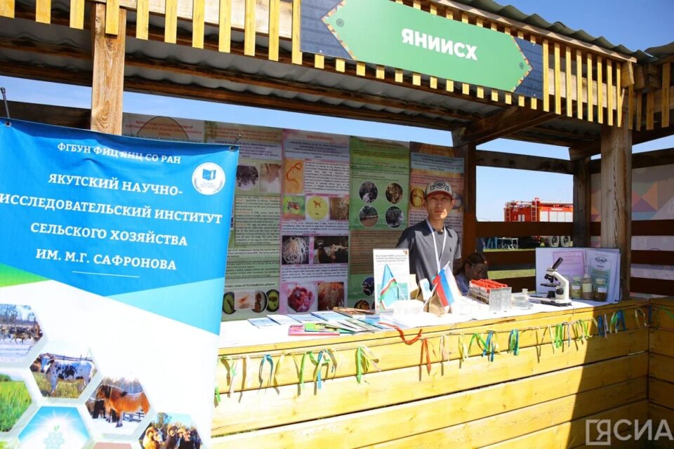 Проект «Биогельм» признан лучшей разработкой выставки «Саха Инновации»