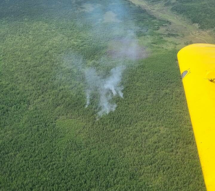 Обнаружен лесной пожар в Амгинском районе