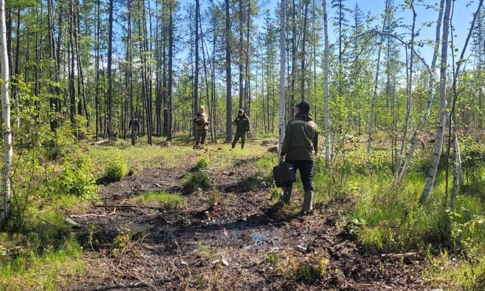 Пропавший в Нюрбинском районе Якутии фермер вернулся домой