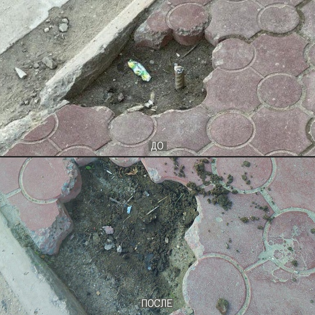 Фото: Платформа обратной связи