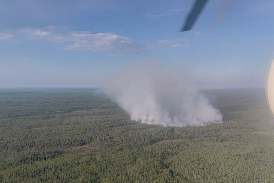 Крупный лесной пожар локализовали в Сунтарском районе