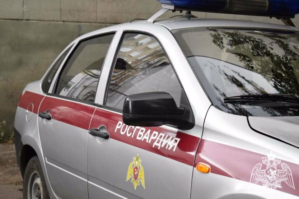В Якутии росгвардейцы задержали дебоширов, нетрезвого водителя и похитителя велосипеда