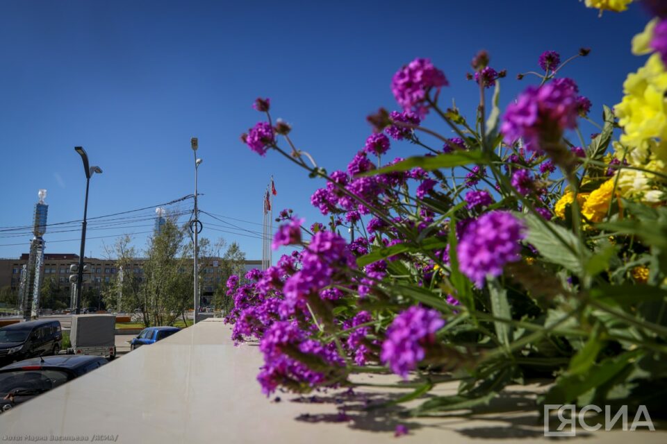 Август — преддверие осени: календарь примет на каждый день месяца