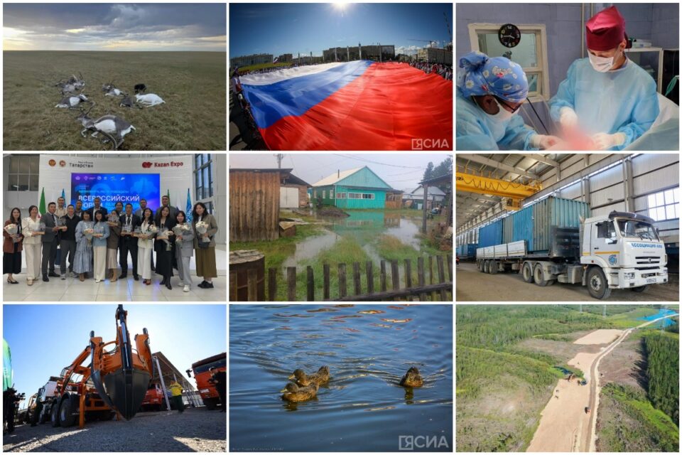 Топ-10 новостей: гибель 12 оленей, первый груз из Беларуси, выживший на сенокосе в Намском районе