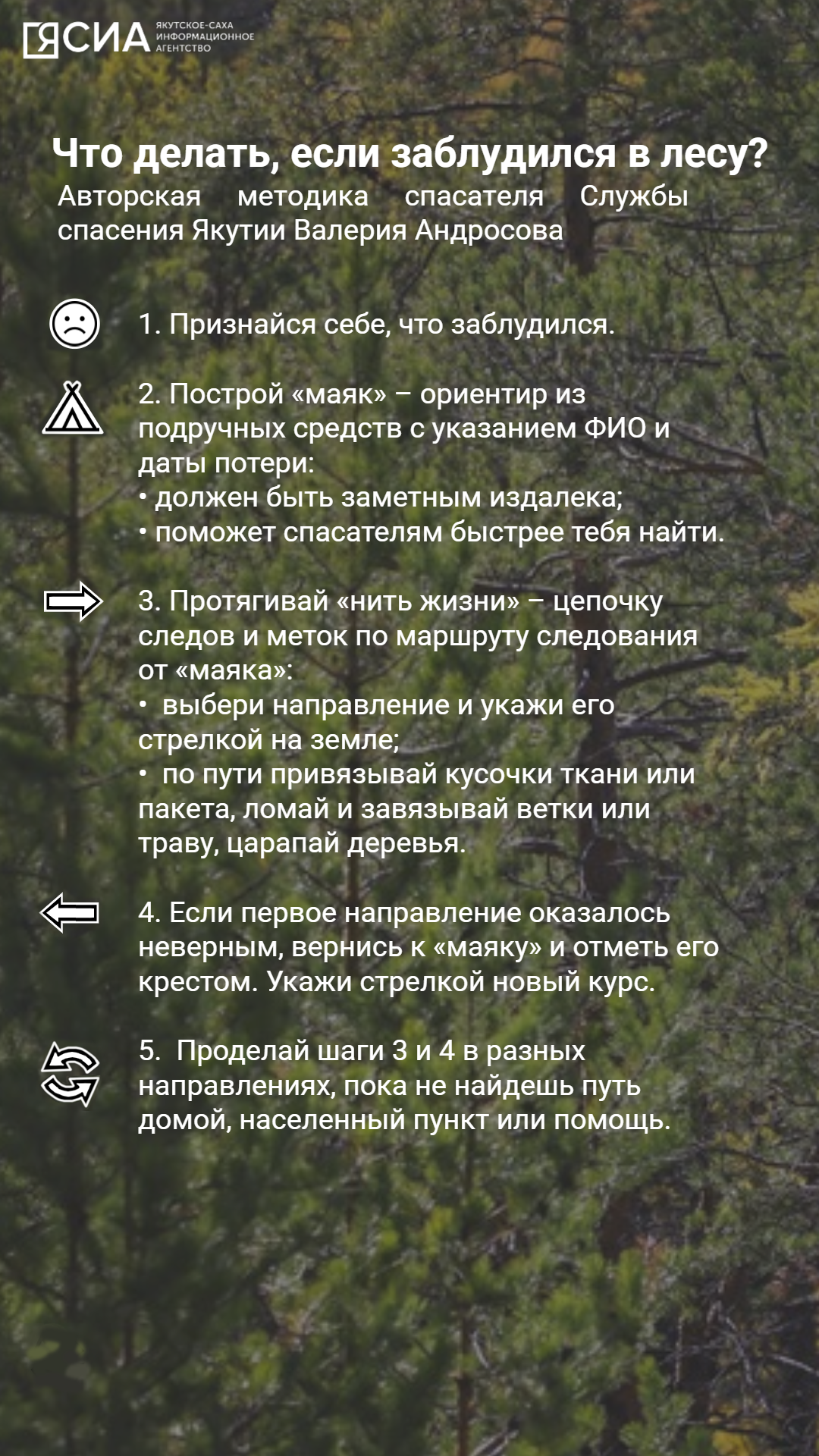 Нить жизни