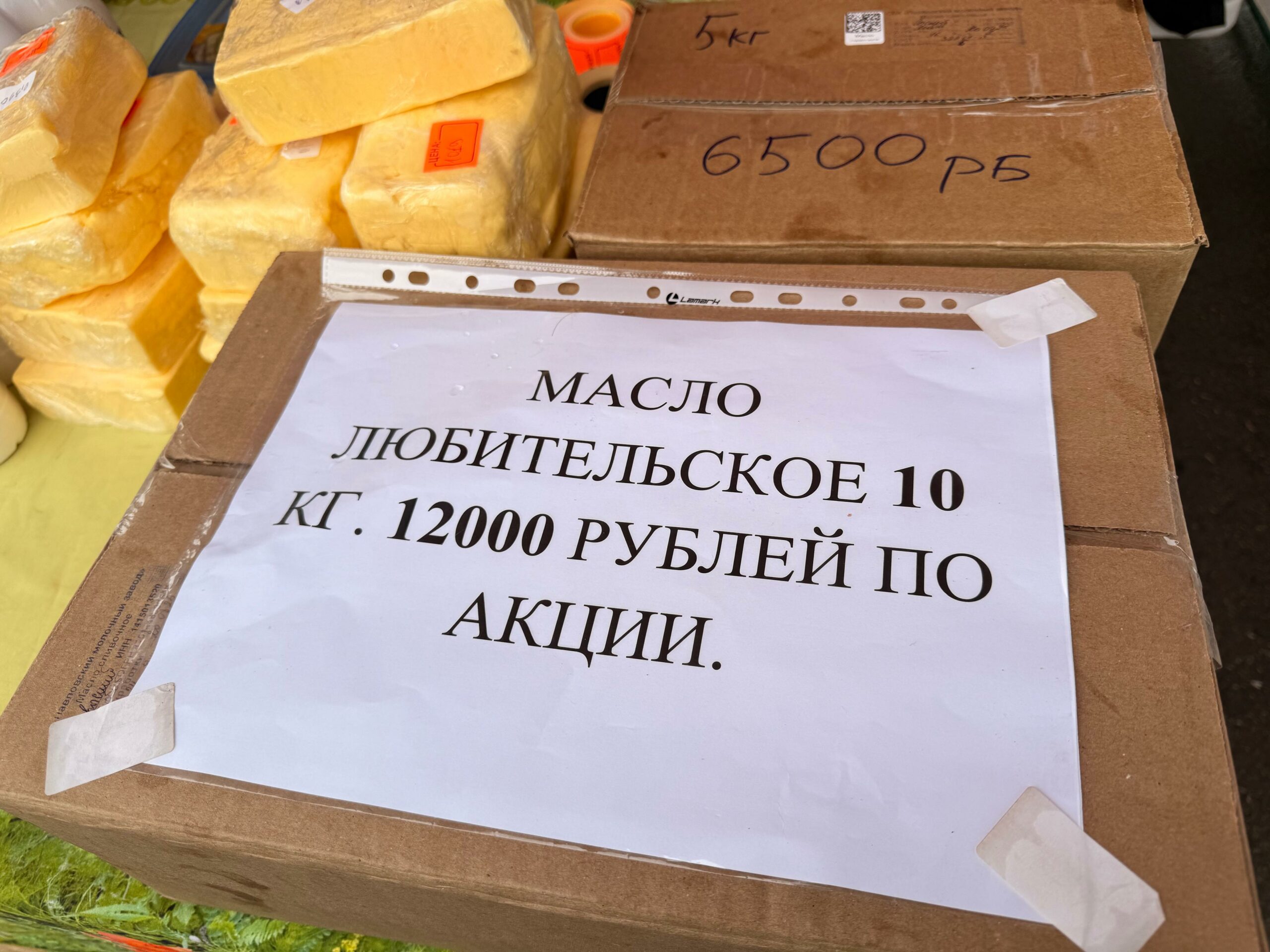 Фото: Мария Горохова/ЯСИА