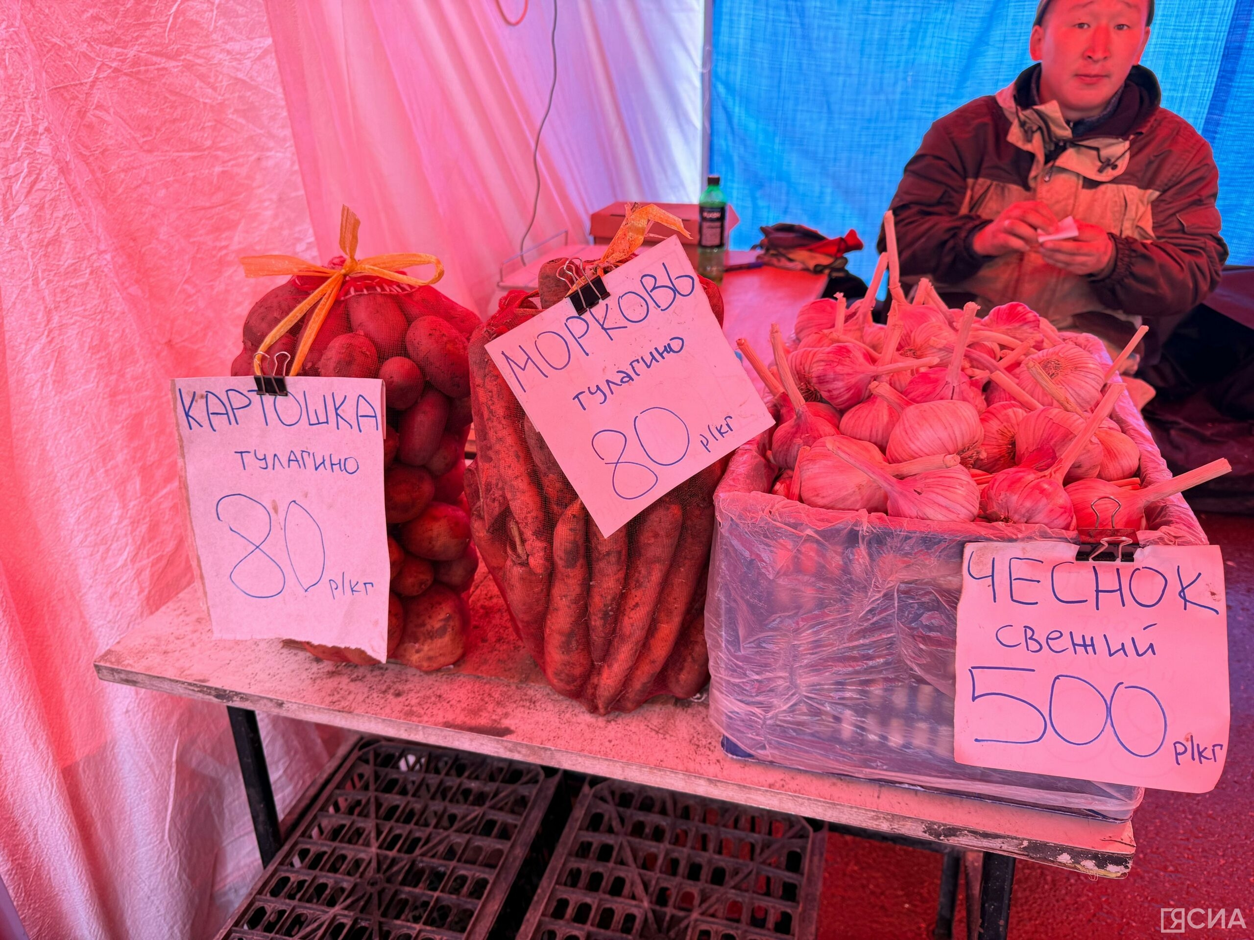 Фото: Мария Горохова/ЯСИА
