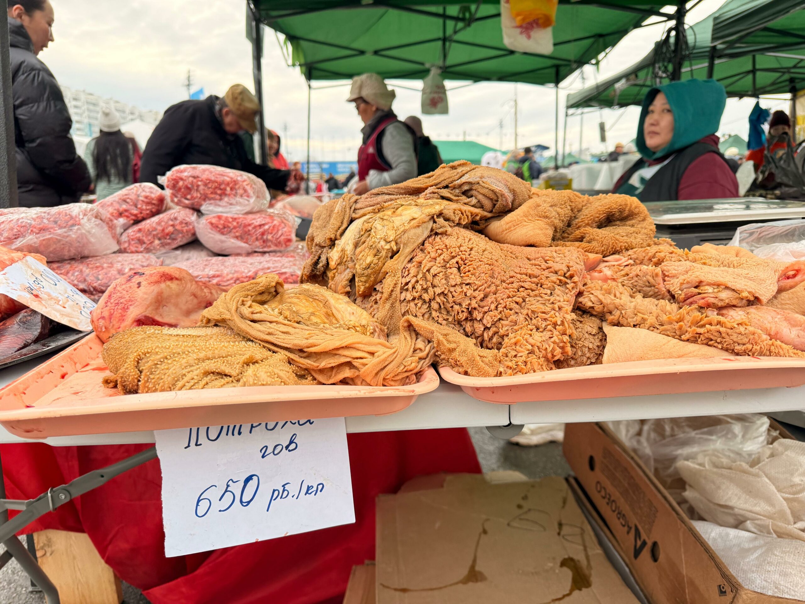 Фото: Мария Горохова/ЯСИА