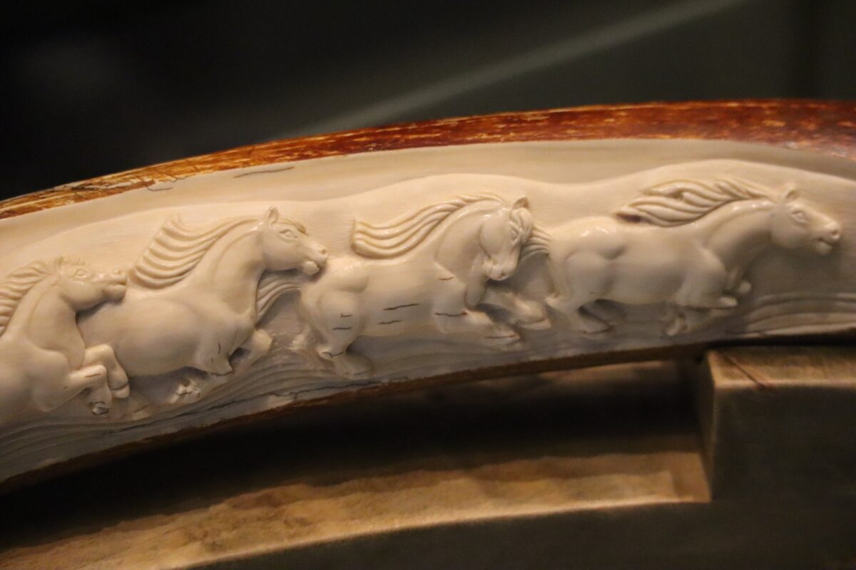 Фото: Нарыйа Пахомова/ЯСИА