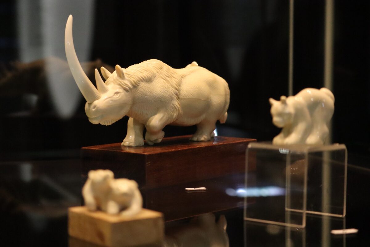 Фото: Нарыйа Пахомова/ЯСИА