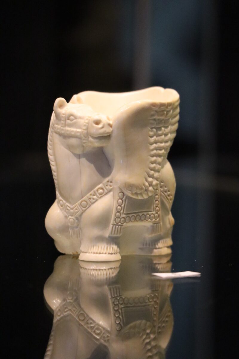 Фото: Нарыйа Пахомова/ЯСИА