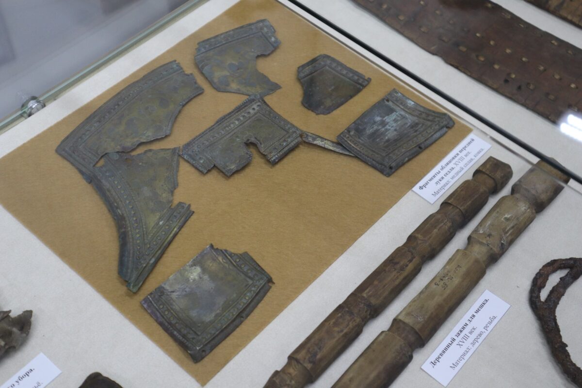 Фото: Нарыйа Пахомова/ЯСИА