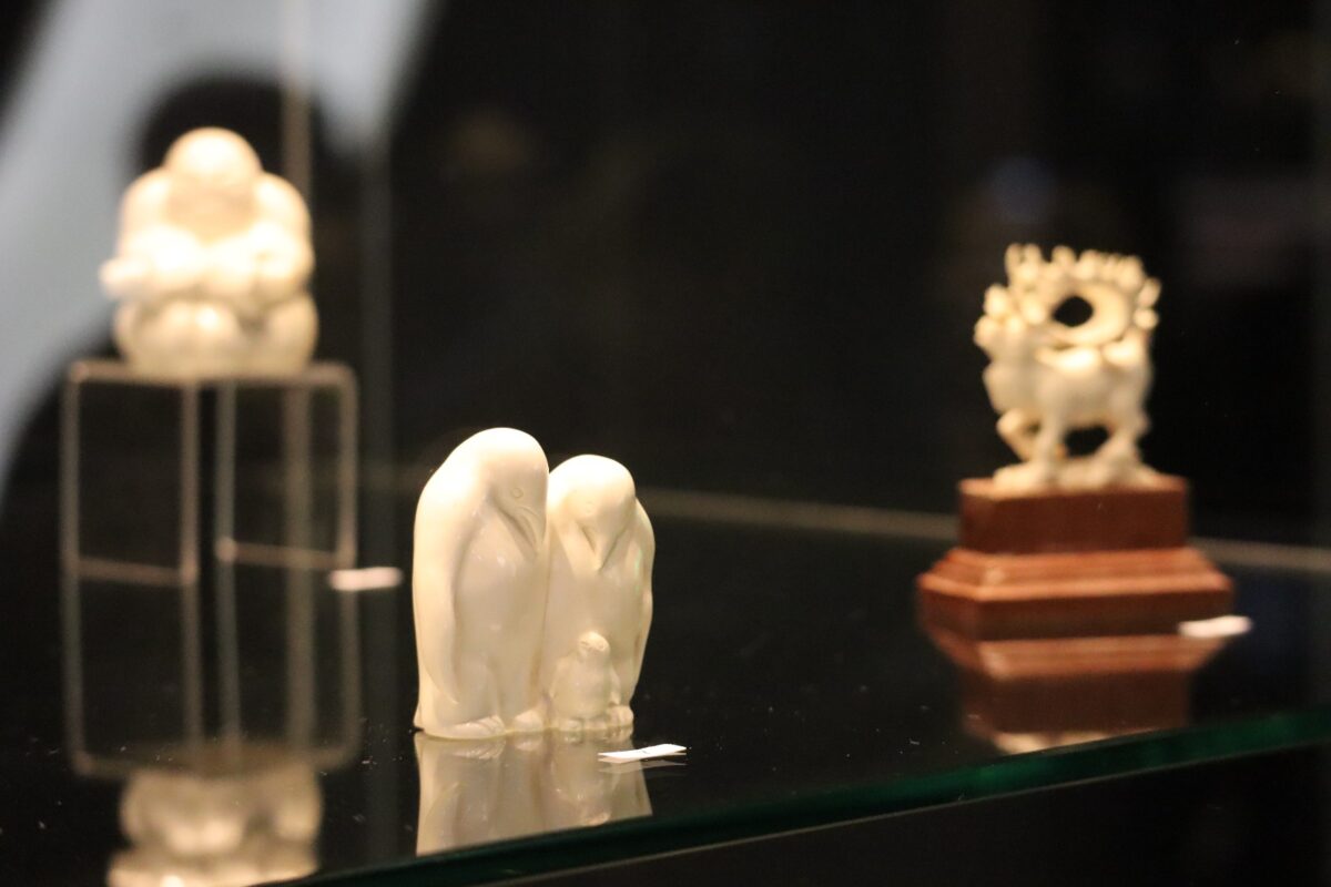 Фото: Нарыйа Пахомова/ЯСИА