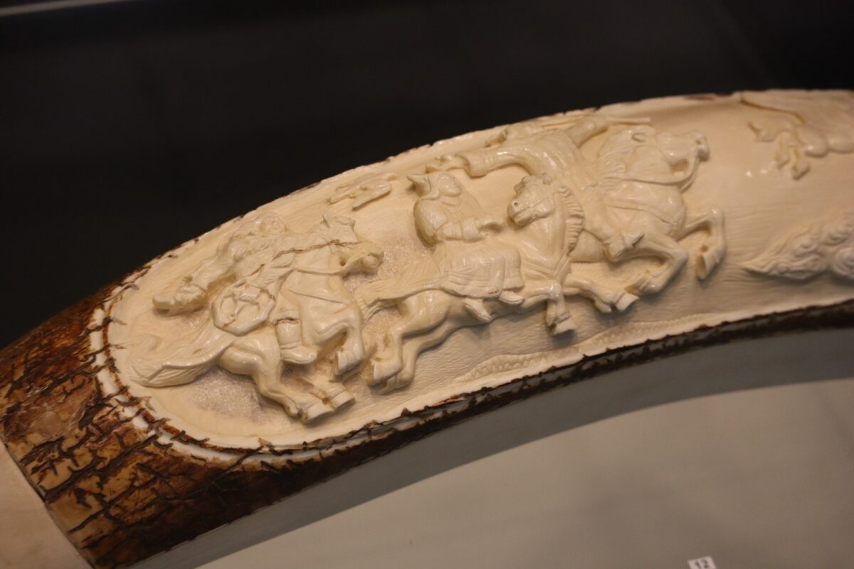 Фото: Нарыйа Пахомова/ЯСИА