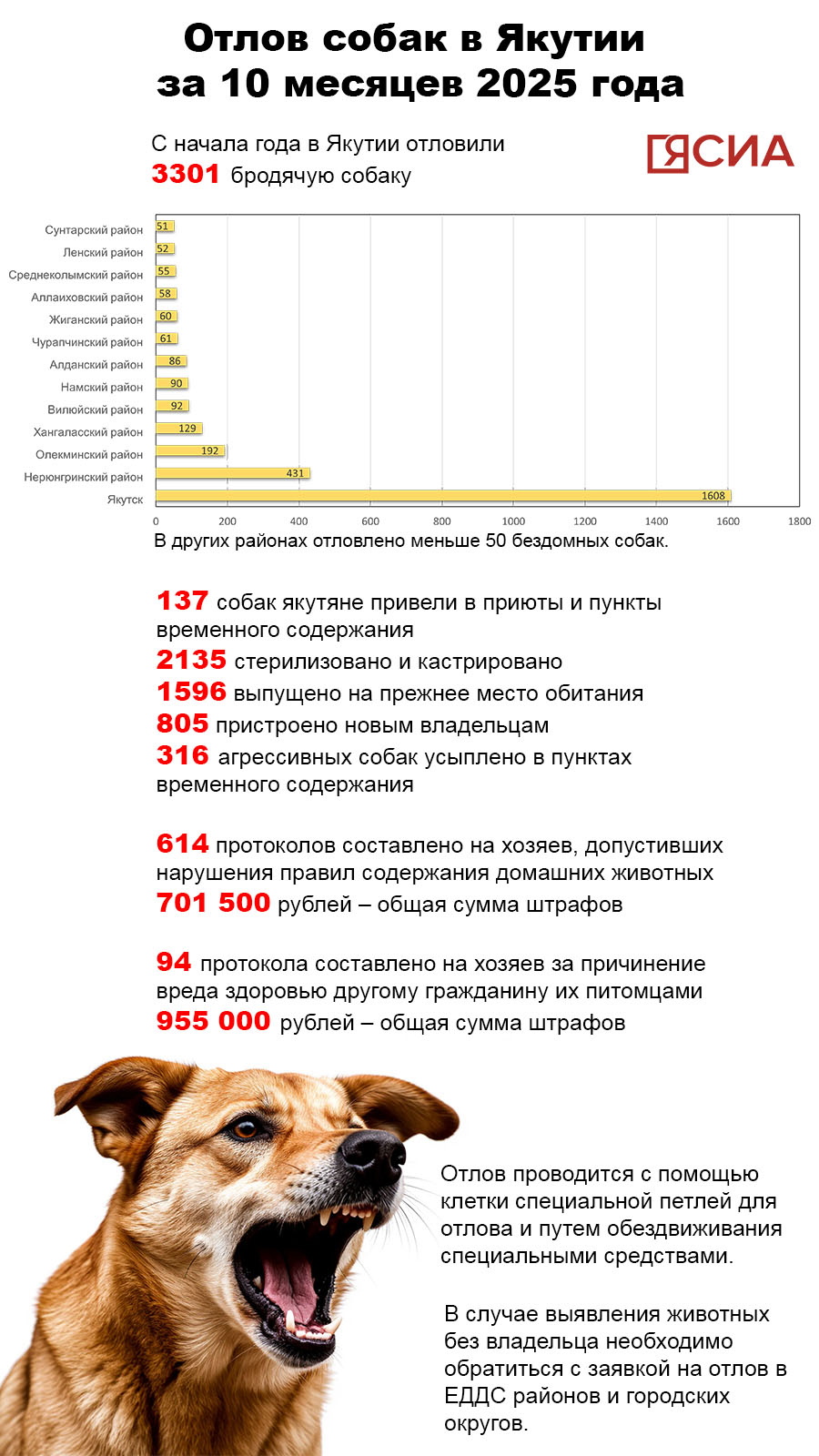 отлов собак