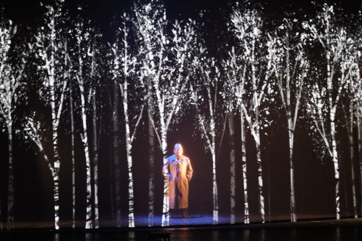 Фото: Нарыйа Пахомова/ЯСИА