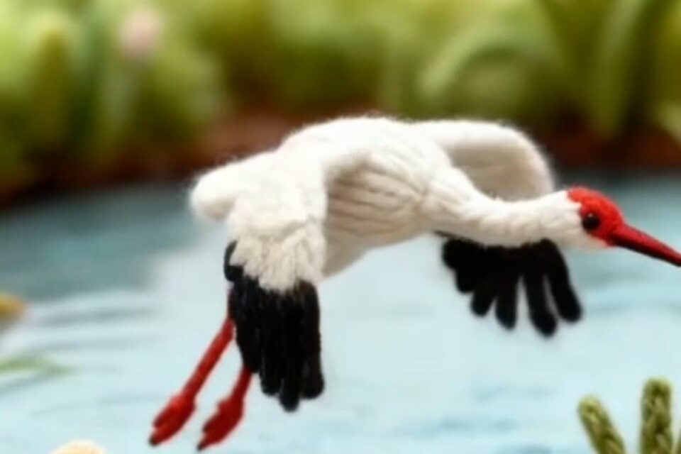 Видео: «вязаные» краснокнижные растения и животные Якутии