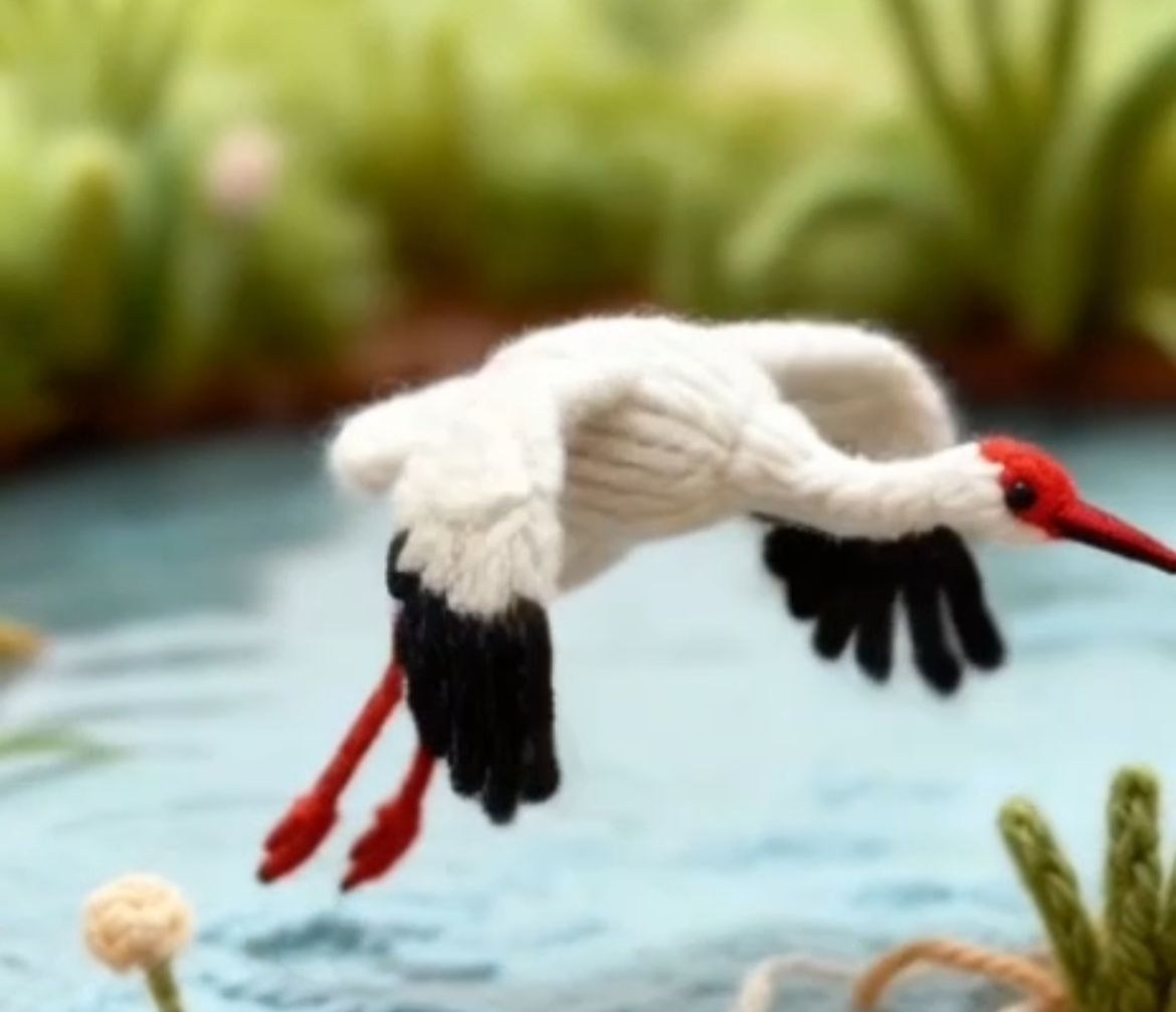 Видео: «вязаные» краснокнижные растения и животные Якутии