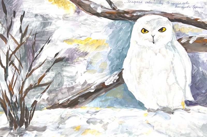 В Якутии определились победители конкурса «Научный орнитологический рисунок»