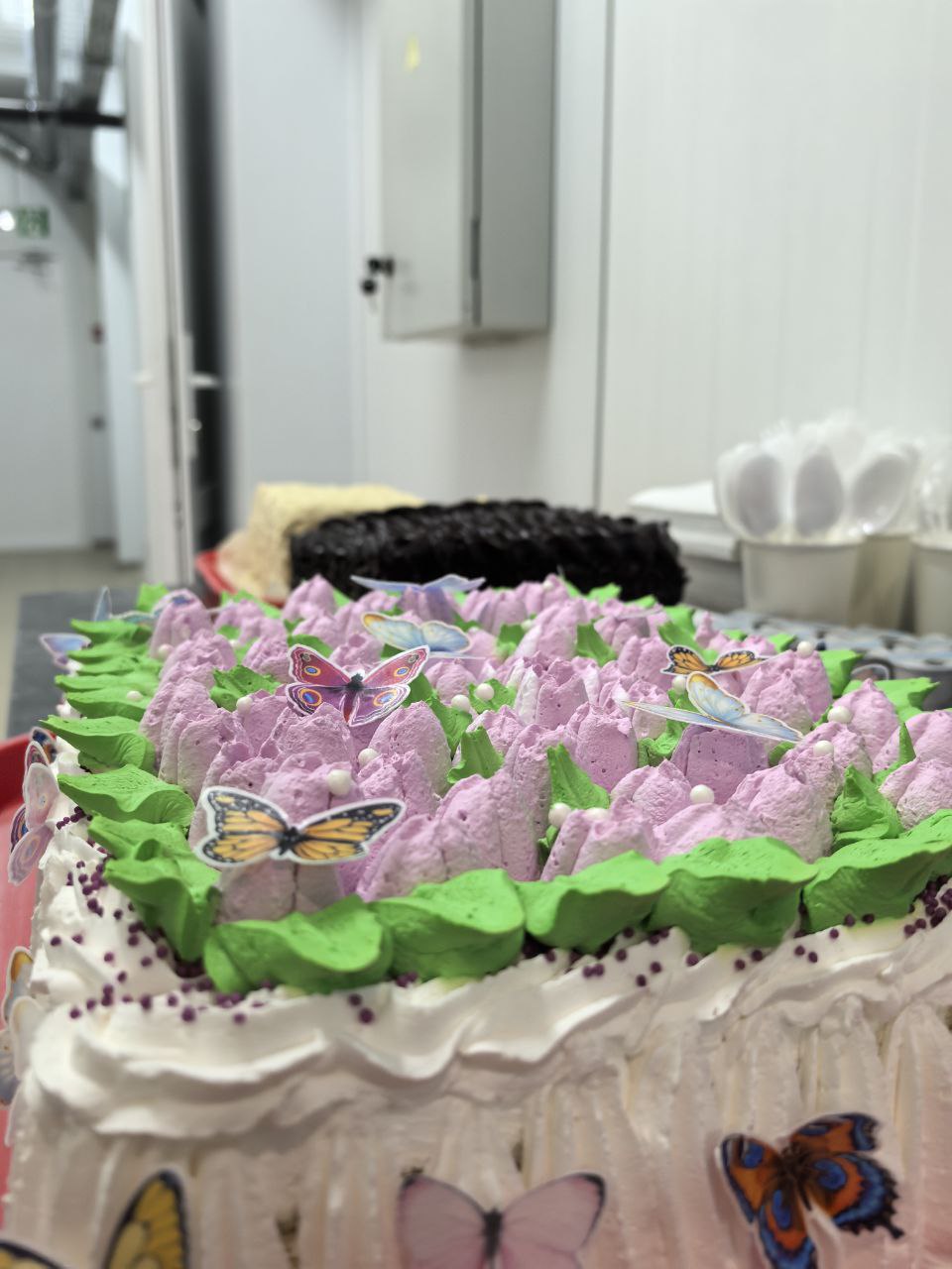 Фото Анастасии Книс