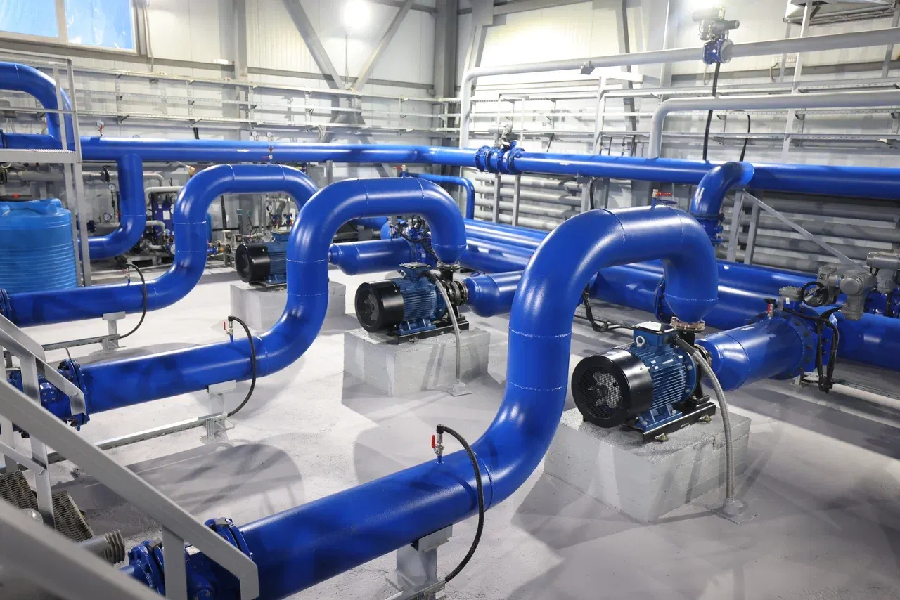 Фото: Андрей Сорокин, ЯСИА 