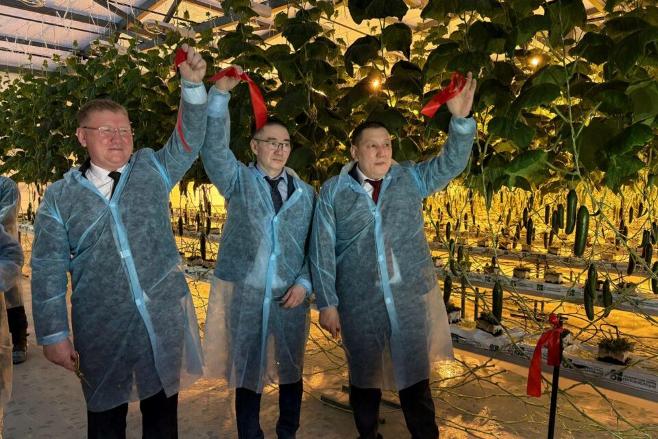 В Хангаласском улусе открыли новый круглогодичный тепличный комплекс