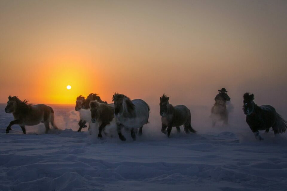 Каким будет 2026 год для знаков восточного календаря