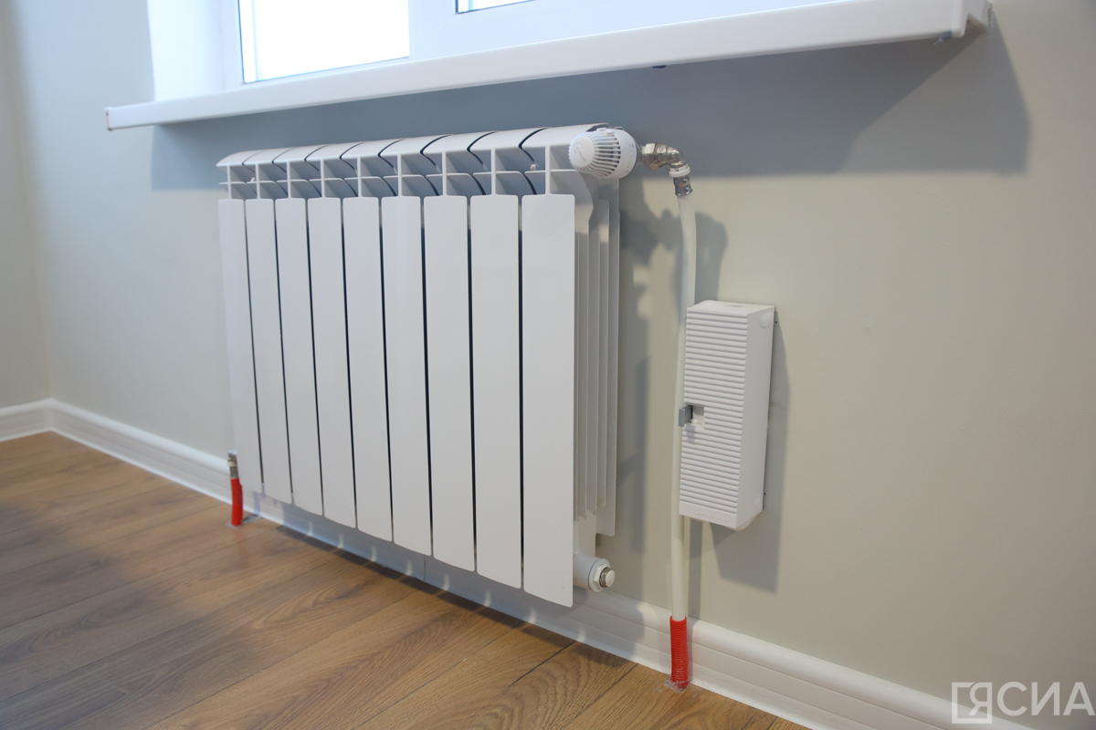 Фото: Саргын Скрябин/ ЯСИА