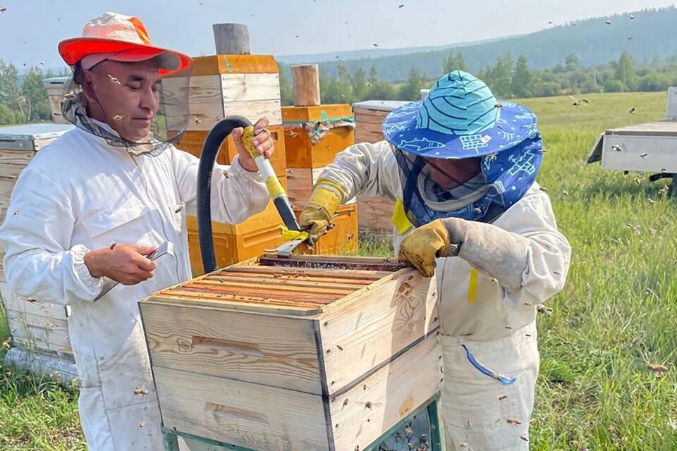 Якутяне развивают бизнес на «дальневосточных гектарах»