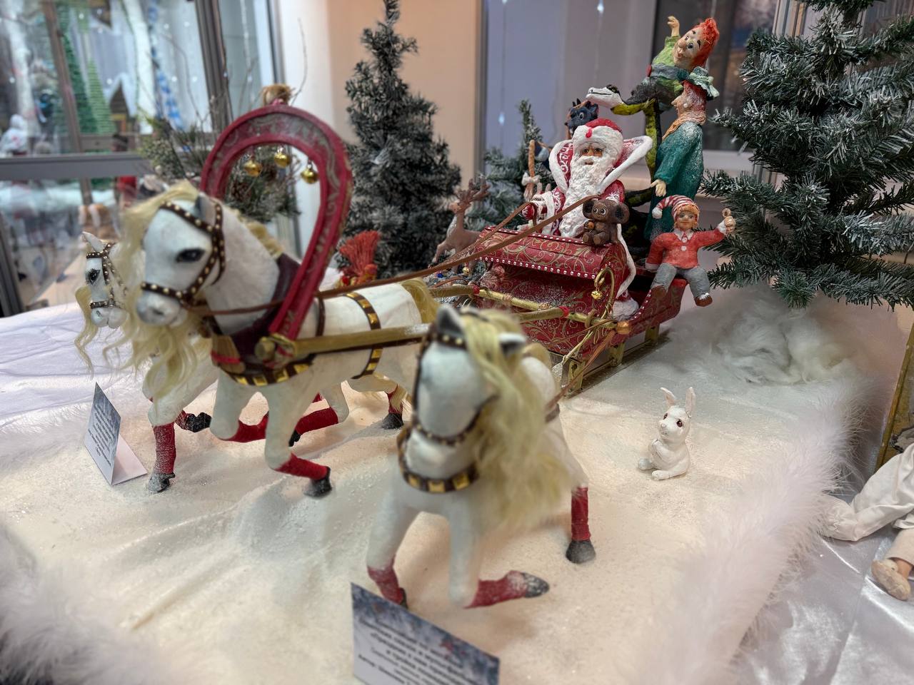 Фото: Мария Горохова/ЯСИА