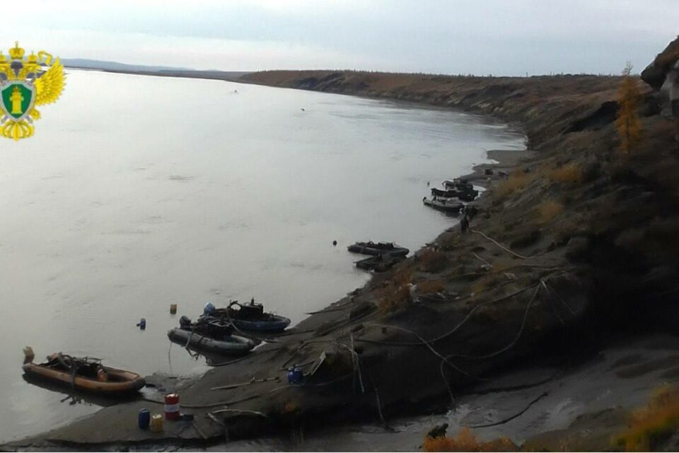 В Усть-Янском районе изъяли более 20 кг бивней мамонта