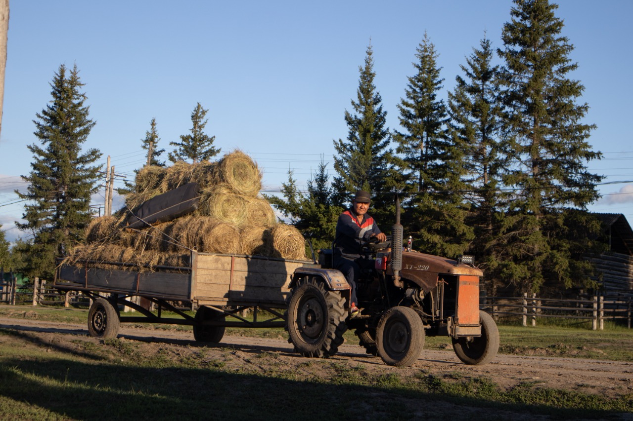 Комедия «Күүлэй! От кэмэ»